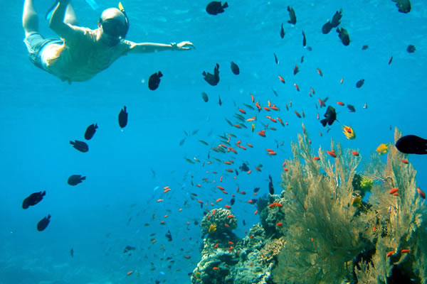 snorkeling surin islands