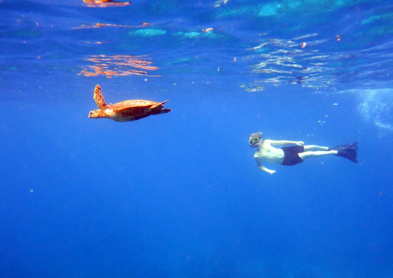 Snorkeling with turtles Surin Islands